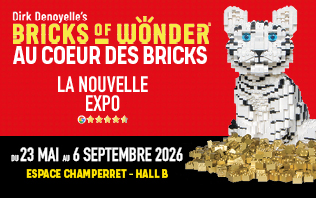 Bricks of Wonder - Au Coeur des Bricks
